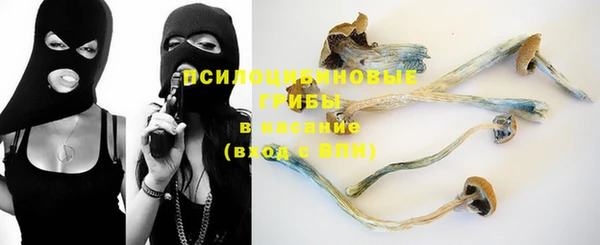 PSILOCYBIN Лиски