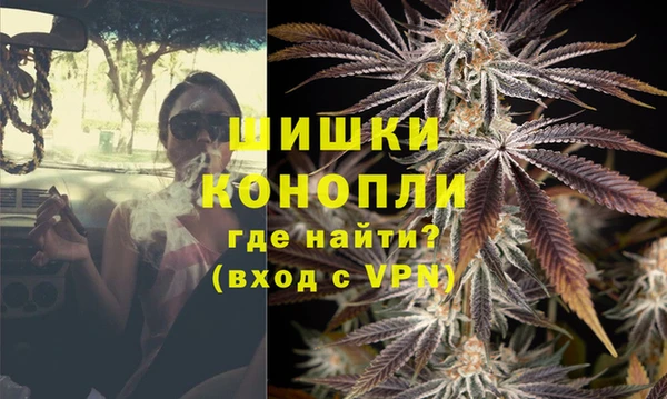 PSILOCYBIN Лиски