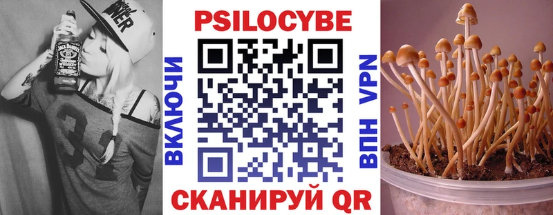 MEGA рабочий сайт  Николаевск-на-Амуре  Псилоцибиновые грибы мухоморы  даркнет сайт 